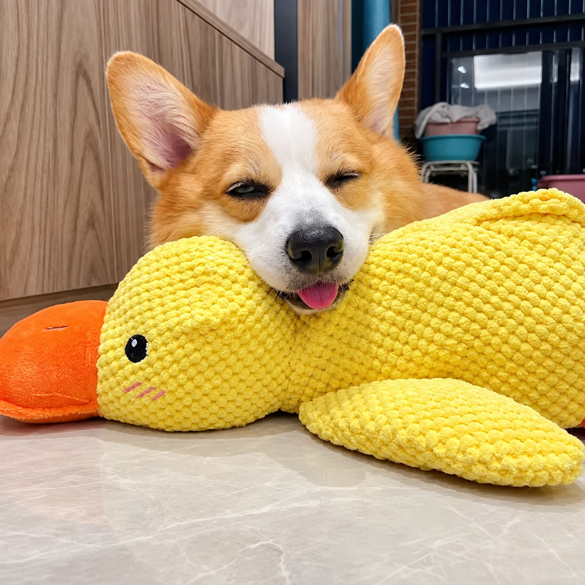 Kuschel-Ente Quietschspielzeug für Hund